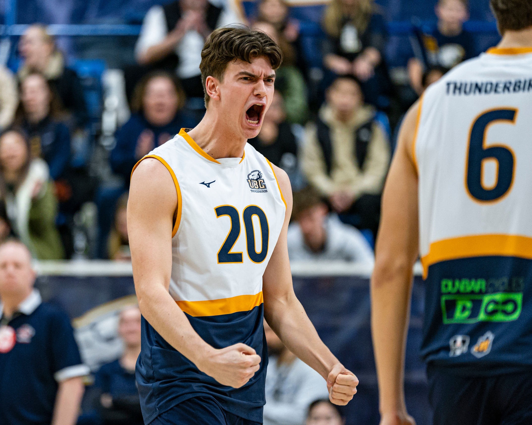 Well-rounded T-Birds sweep Bobcats